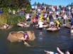 Cardboard Boat Race fundraiser